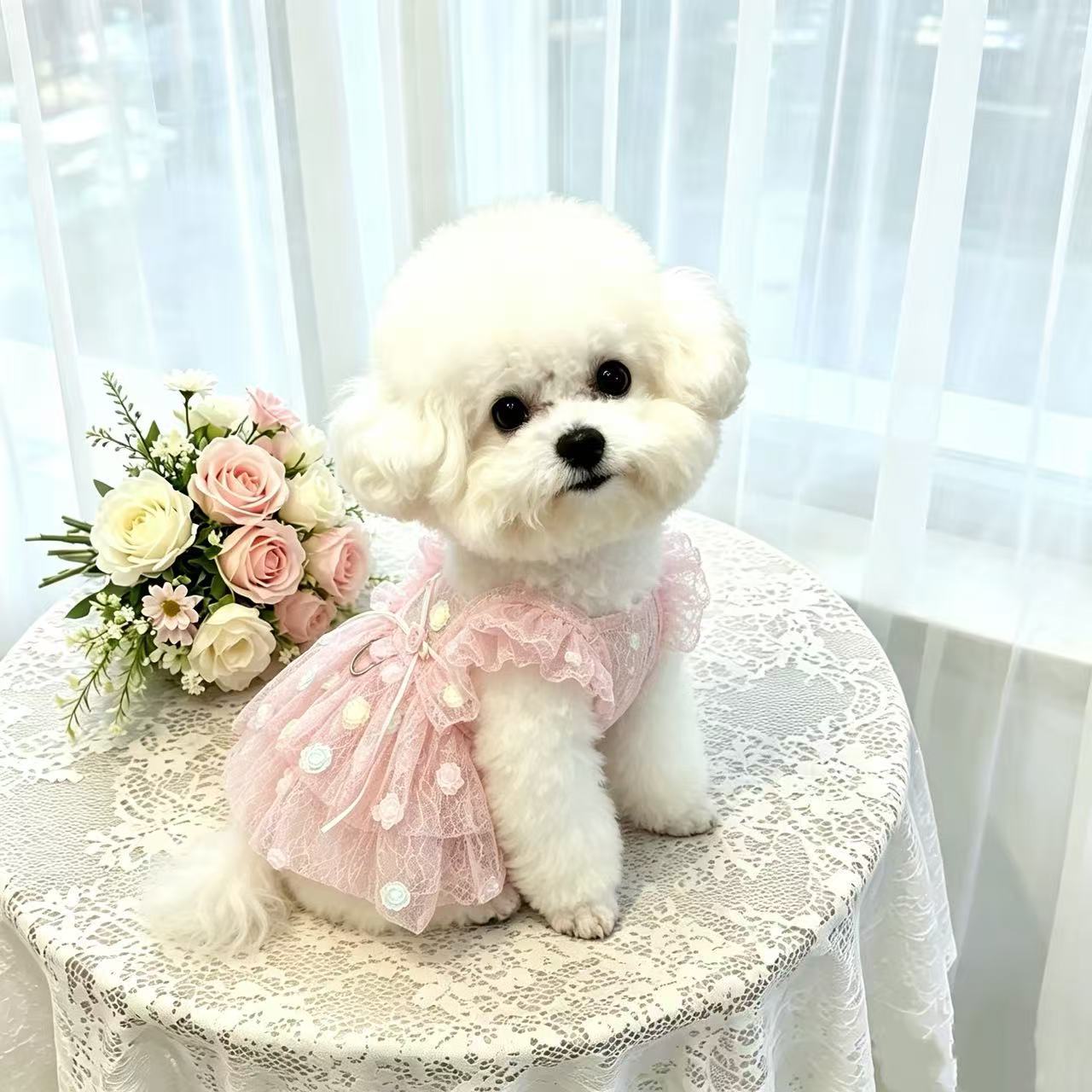 Pet Spring & Summer Chiffon Pr - đánh giá và giá Summer Rose Clothing