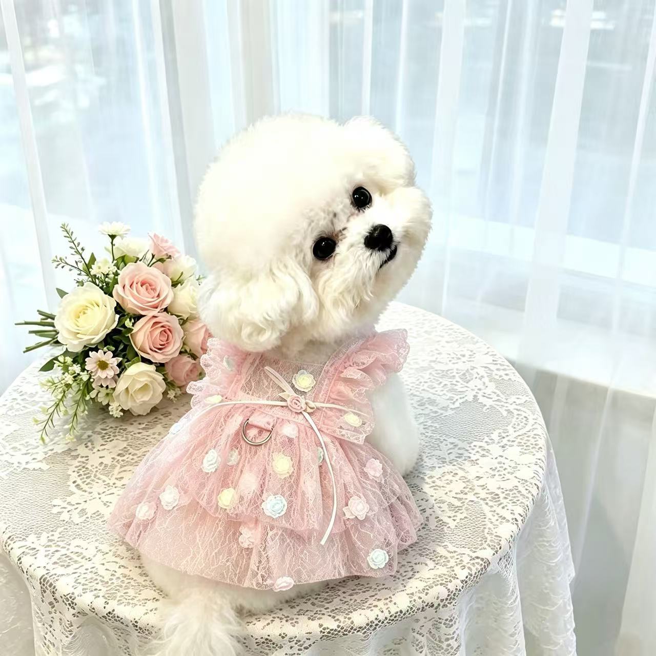 Pet Spring & Summer Chiffon Pr - đánh giá và giá Summer Rose Clothing