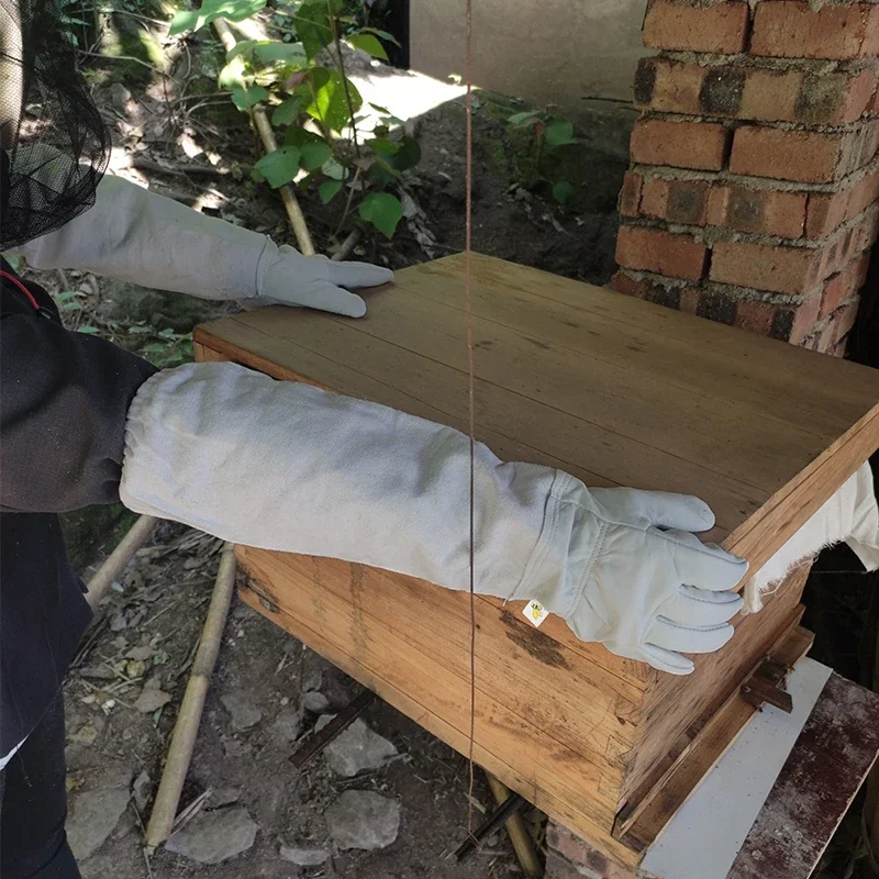 Beekeeping Gloves Anti-bee Ant - đánh giá và giá Rash Guard Long Sleeve