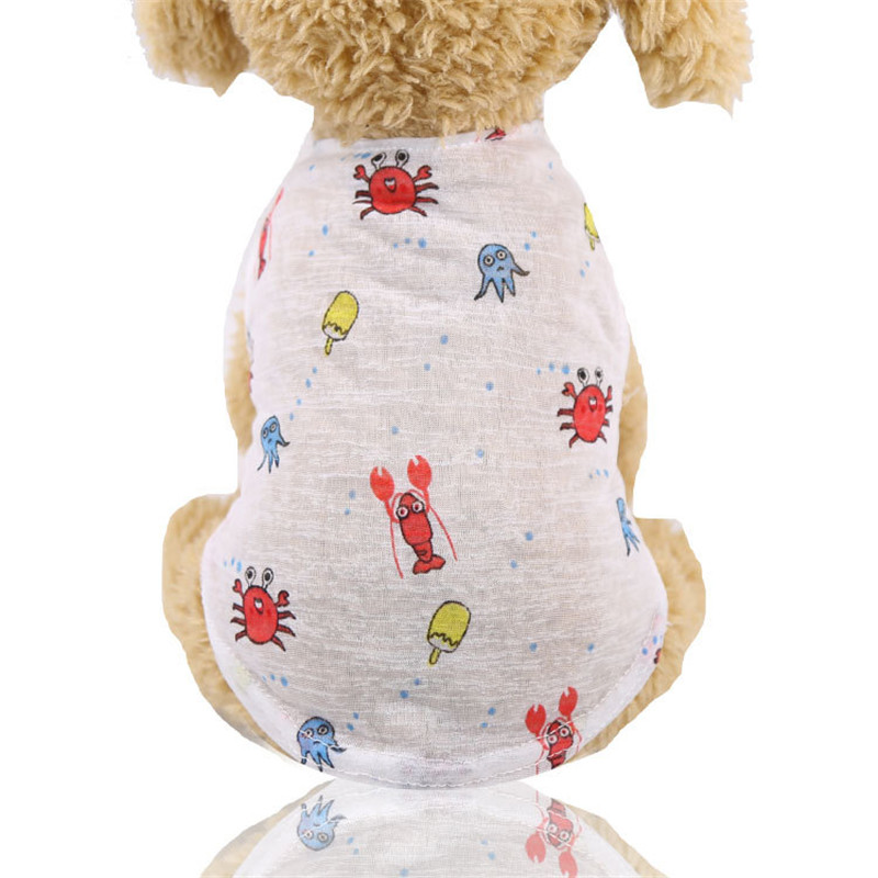5 Colors Summer Lovely Cartoon - đánh giá và giá Summer Clothing Colors